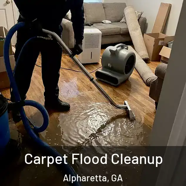  Carpet Flood Cleanup Alpharetta, GA