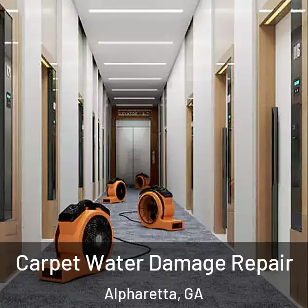  Carpet Water Damage Repair Alpharetta, GA