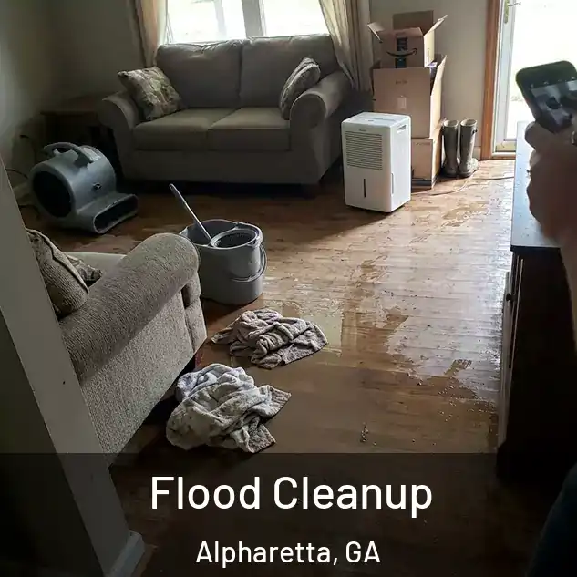  Flood Cleanup Alpharetta, GA