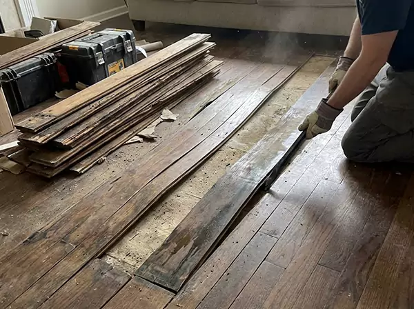 Water Damage Drying in Alpharetta