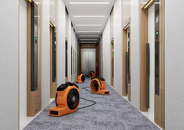 Your Flood Recovery Specialists in Alpharetta, GA