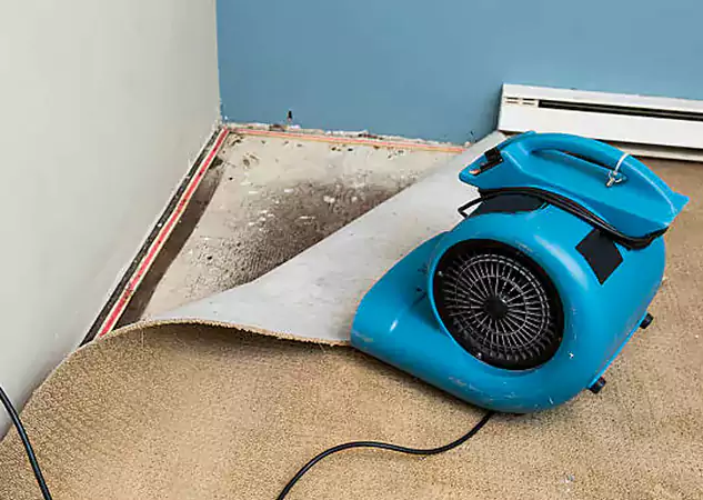 Your Water Damage Experts in Alpharetta, GA