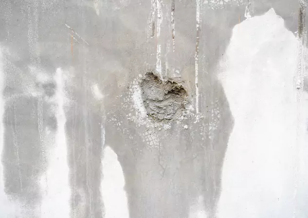 Your Mold Mitigation Solutions Partner in Alpharetta, GA