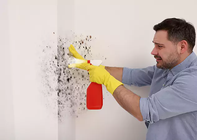Your Water Mold Fire Restoration Partner in Alpharetta, GA