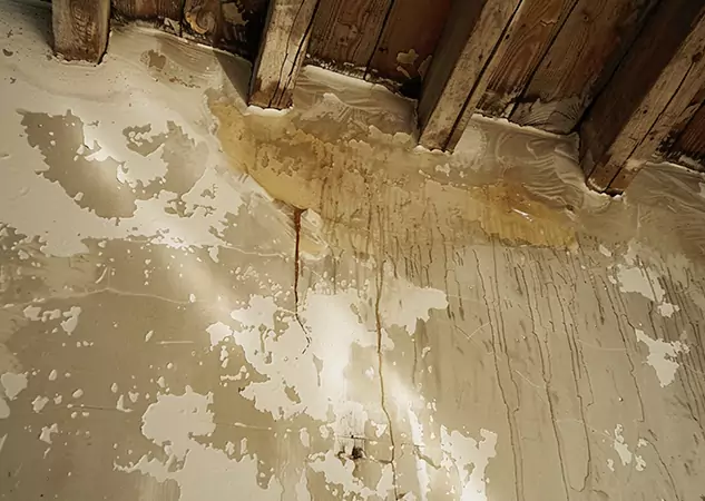 Your Trusted Restoration Company in Alpharetta, GA