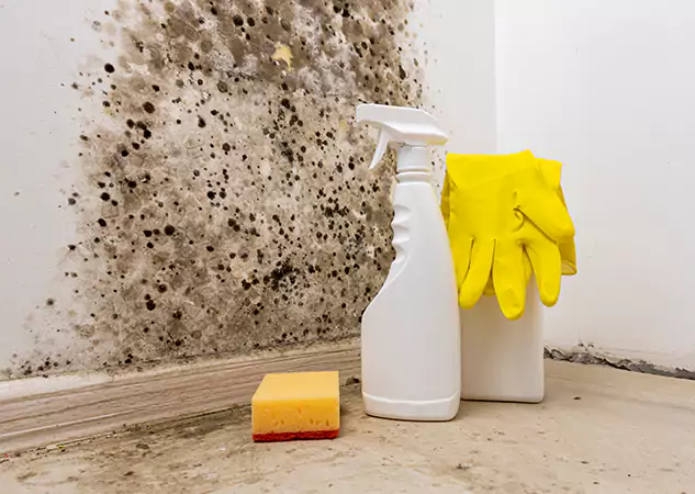 Your Reliable Restoration Company in Alpharetta, GA
