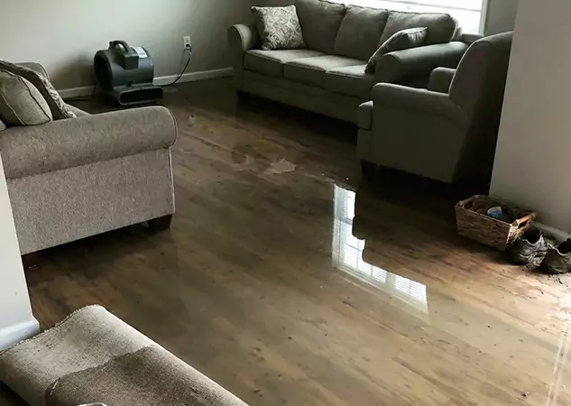 Your Trusted Restoration Company in Alpharetta, GA