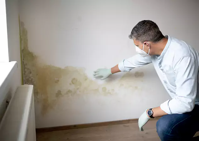 Reach Our Remediation Team Before Damage Grows in Alpharetta, GA!