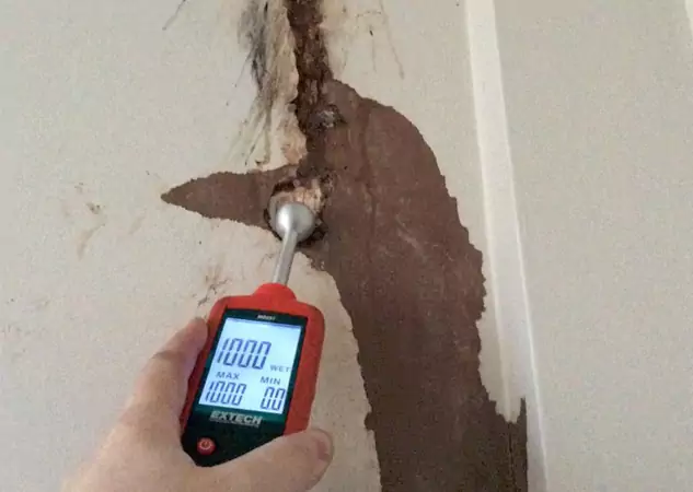 Your Water Damage Assessment Partner in Alpharetta, GA