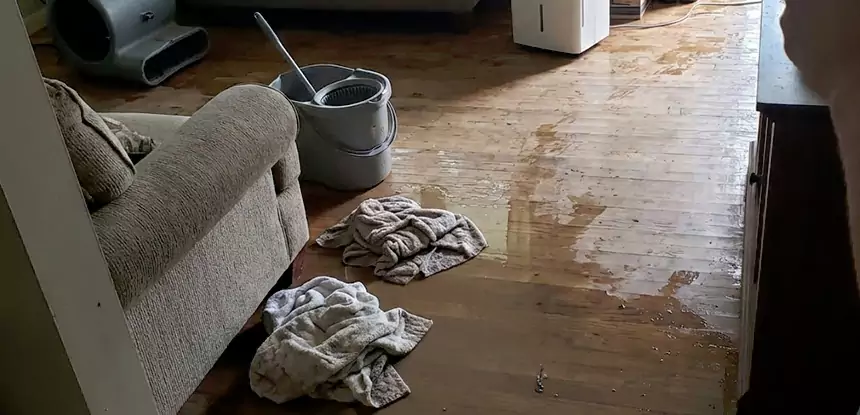 Professional Basement Water Remediation Services in Alpharetta, GA