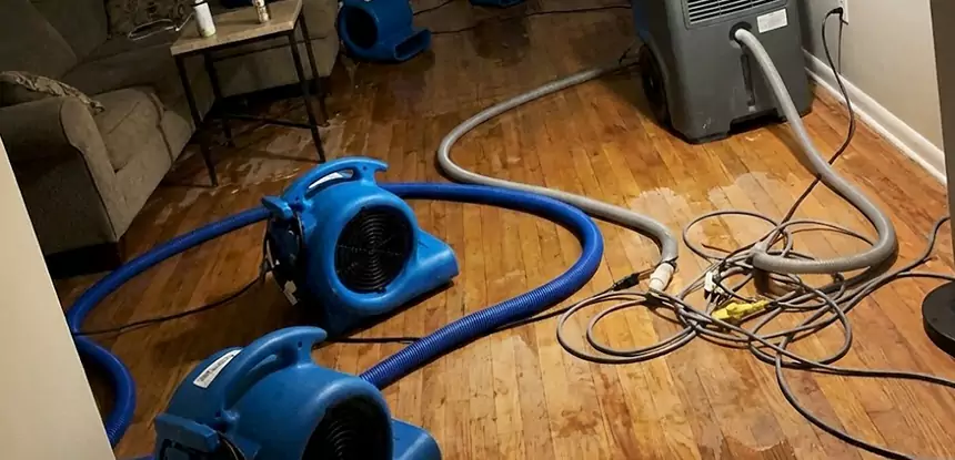 Basement Flood Restoration Services in Alpharetta