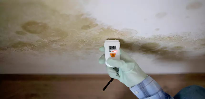 Emergency Mold Remediation in Alpharetta
