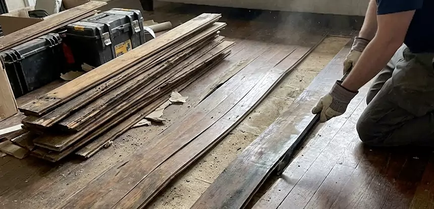 Wood Rot and Fungus Repair in Alpharetta