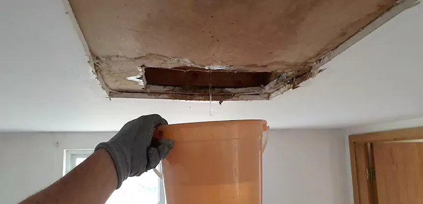 Ceiling Mold Repair Alpharetta 