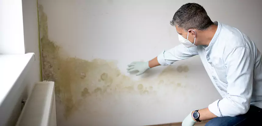 Mold and Water Damage Repair in Alpharetta