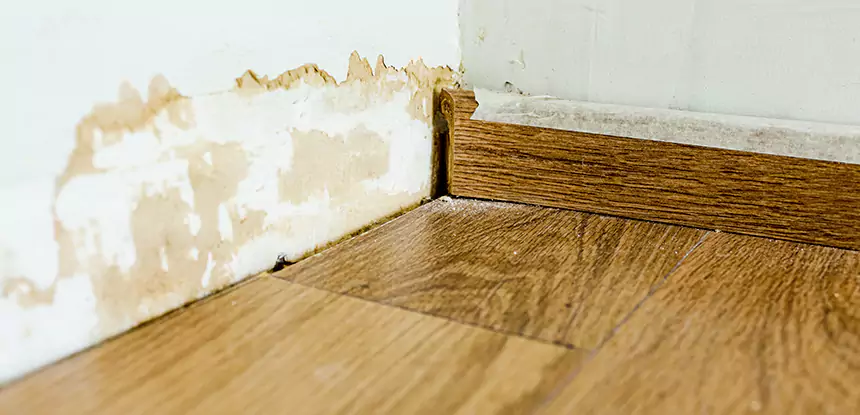 Professional Fix Water Damaged Wood Services in Alpharetta, GA