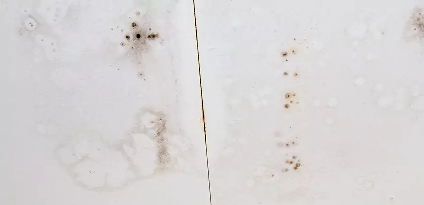 Professional Water Stain Repair Services in Alpharetta, GA