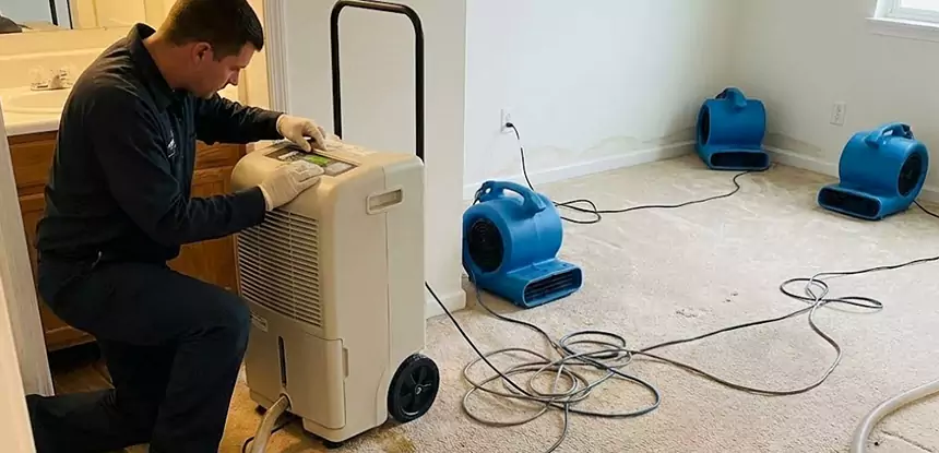 Professional Wet Carpet Removal Services in Alpharetta, GA