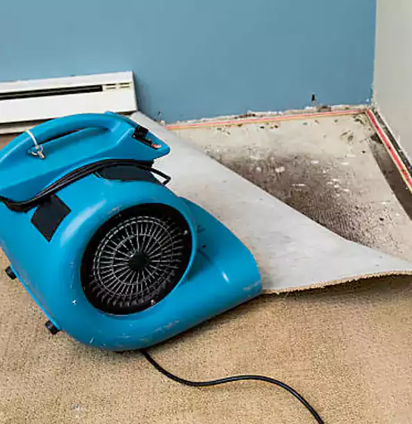 Why Alpharetta Trusts Alpharetta Restoration Pro for Carpet Flood Recovery?