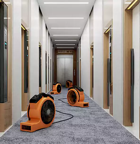 Why Alpharetta Trusts Alpharetta Restoration Pro?