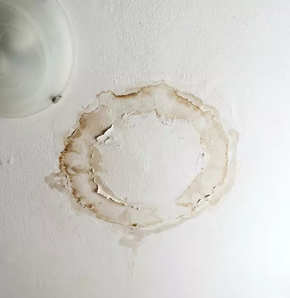 Why Alpharetta Property Owners Choose Alpharetta Restoration Pro for Ceiling Water Damage Restoration?