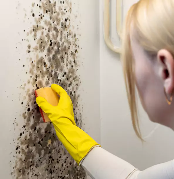 Why Alpharetta Restoration Pro Leads Mold Remediation in Alpharetta?