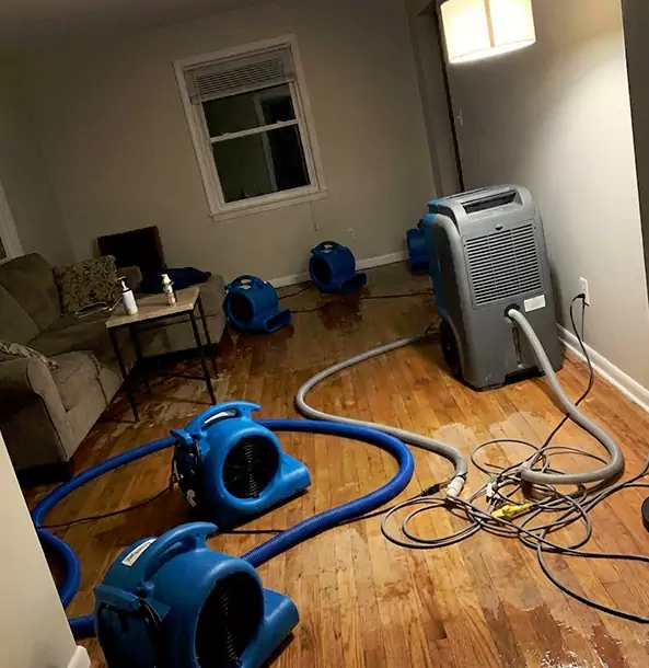 Why Alpharetta Property Owners Rely on Alpharetta Restoration Pro for Remediation?