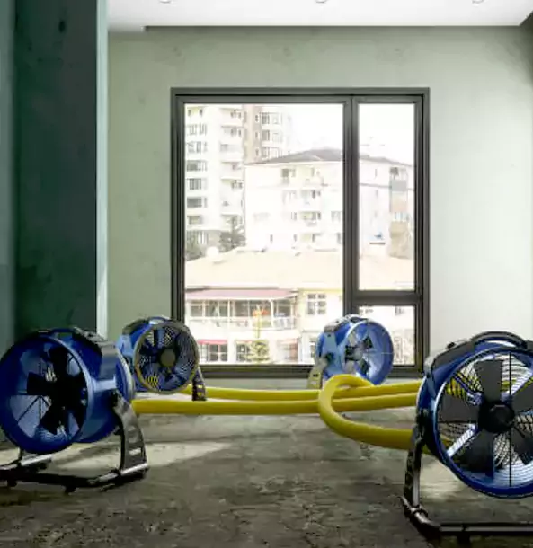 Why Alpharetta Property Owners Trust Alpharetta Restoration Pro for Water Damage Drying?