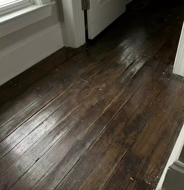 Why Alpharetta Homeowners Trust Alpharetta Restoration Pro to Fix Water Damaged Wood?