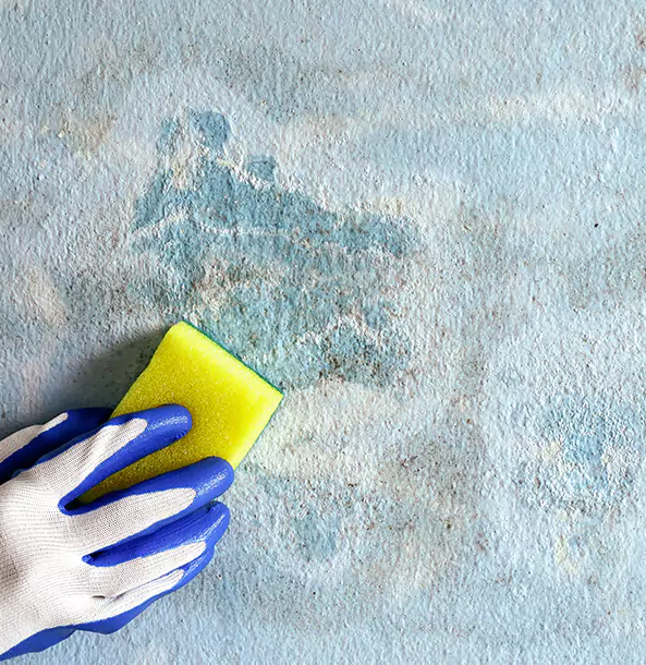 Why Alpharetta Restoration Pro Is the Right Choice in Alpharetta, GA?