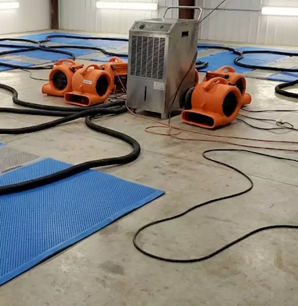 Why Alpharetta Homeowners and Businesses Choose Alpharetta Restoration Pro for Wet Carpet Removal?