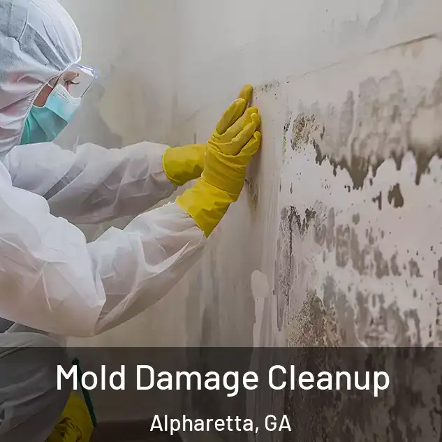  Mold Damage Cleanup Alpharetta, GA