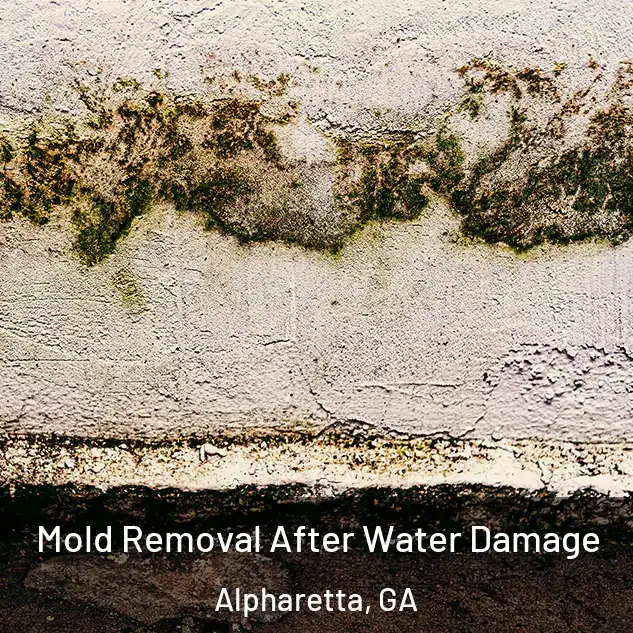  Mold Removal After Water Damage Alpharetta, GA