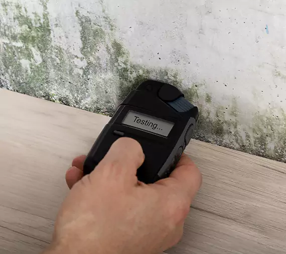 Mold Remediation Service Alpharetta