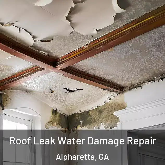  Roof Leak Water Damage Repair Alpharetta, GA