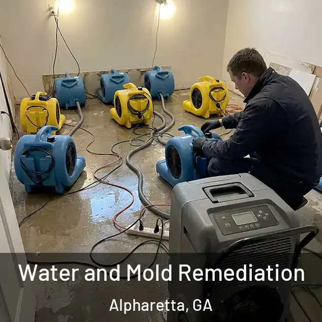  Water and Mold Remediation Alpharetta, GA