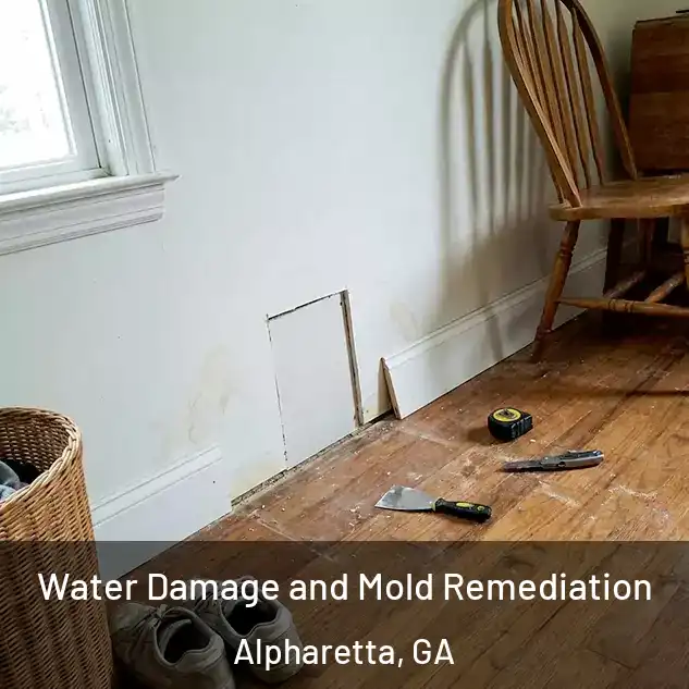  Water Damage and Mold Remediation Alpharetta, GA