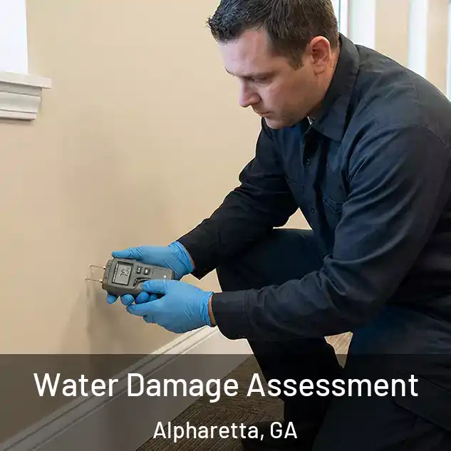  Water Damage Assessment Alpharetta, GA