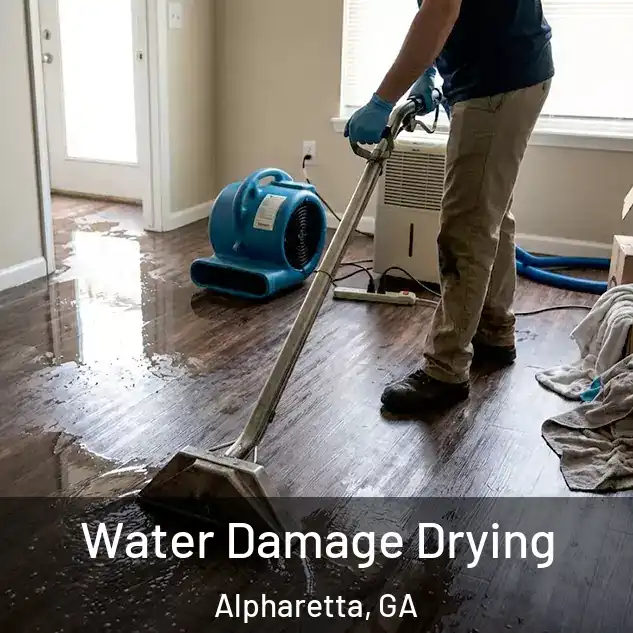  Water Damage Drying Alpharetta, GA