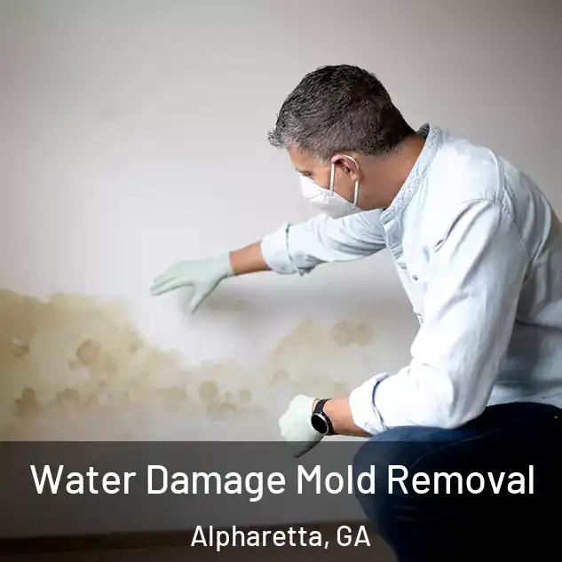  Water Damage Mold Removal Alpharetta, GA