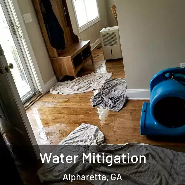  Water Mitigation Alpharetta, GA