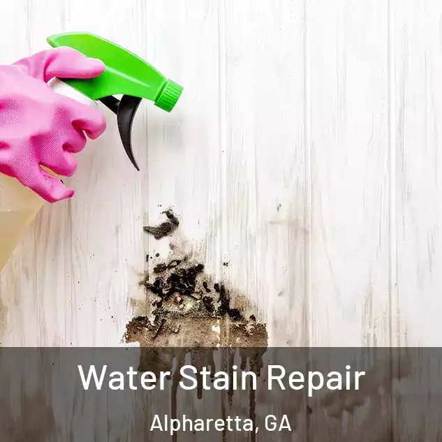  Water Stain Repair Alpharetta, GA