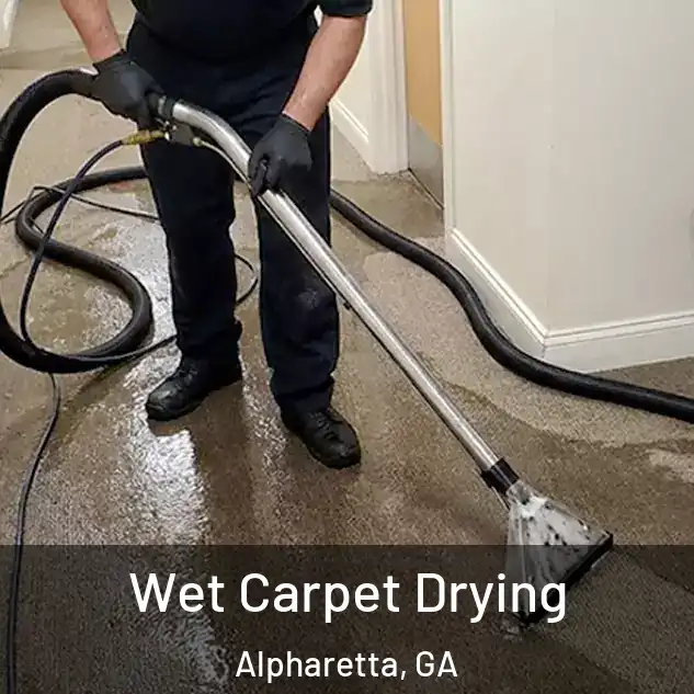  Wet Carpet Drying Alpharetta, GA