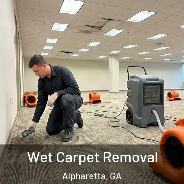  Wet Carpet Removal Alpharetta, GA